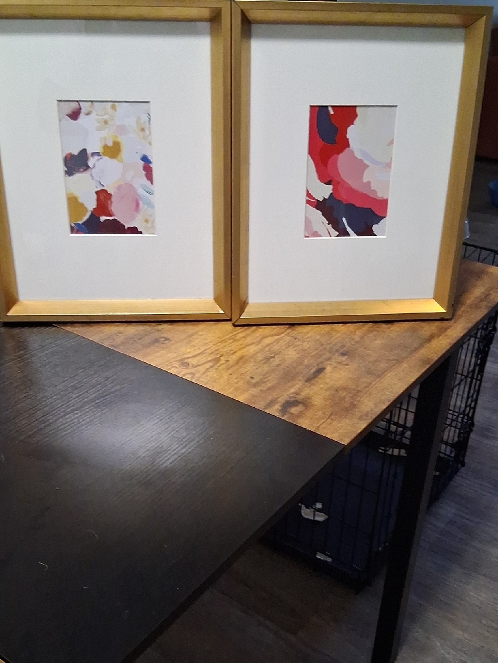 Gold Framed Abstract Wall Art Pair - Multicolor Prints
